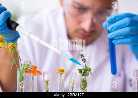 Jeune chimiste dans le laboratoire Banque D'Images