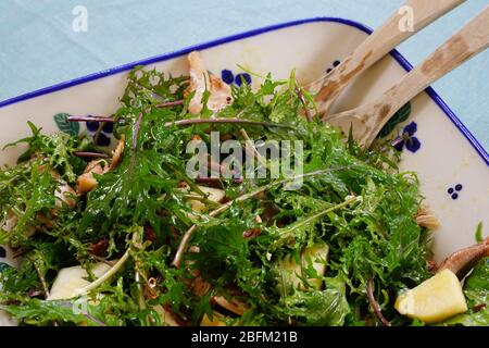 Une salade verte fraîche avec confit de canard, pommes et fromage Banque D'Images