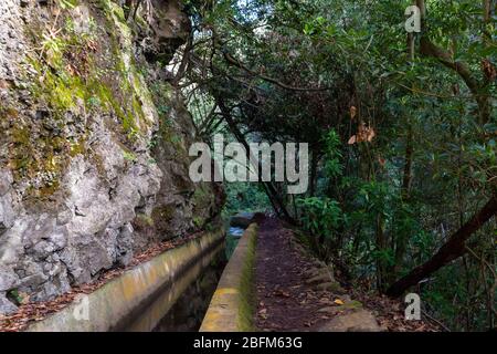 Typique levada avec mur de montagne d'un côté et arbres et plantes de l'autre photo des montagnes au-dessus du village de Monte sur Madère Portugal. Banque D'Images