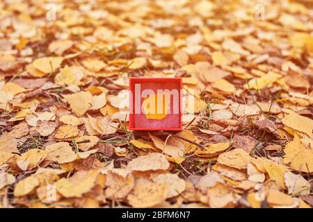 Boîte cadeau avec feuilles d'automne. Concept de fin de saison, espace de copie. Symbole de modification des prévisions météorologiques Banque D'Images