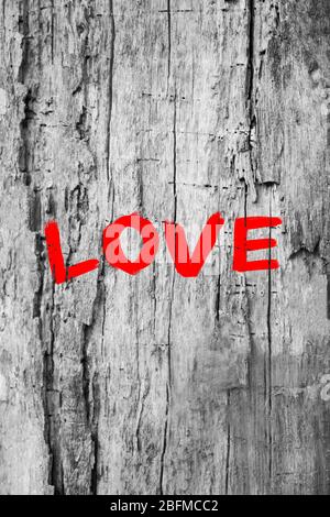 Mot « Love » peint sur un vieux fond de mur en bois Banque D'Images