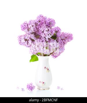 Bouquet de lilas dans un vase en porcelaine isolé sur fond blanc. Banque D'Images