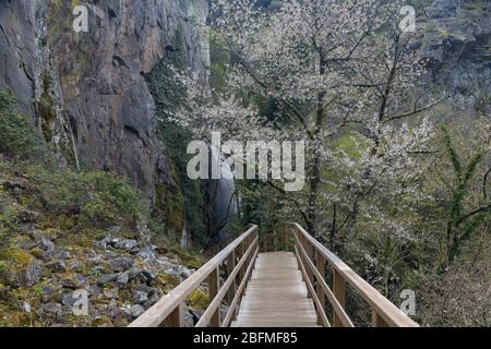 Accès et environnement à la cascade d'Augacida à Lugo, Galice, Espagne. Banque D'Images