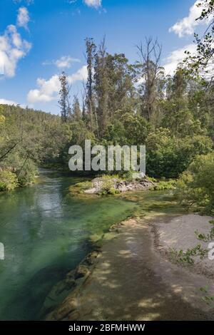 Cours de la rivière Oitaven en Galice, Espagne. Banque D'Images