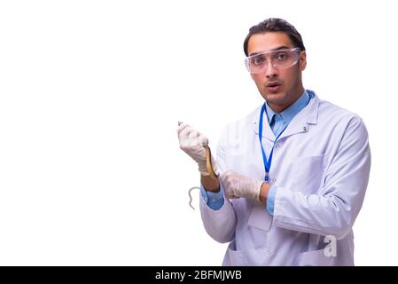 Le jeune homme avec snake zoologiste isolated on white Banque D'Images