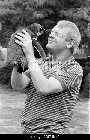 L'acteur Anthony Hopkins a rencontré un pingouin au zoo de Londres pour promouvoir un nouveau spectacle de télévision sur la faune en 1989. Banque D'Images