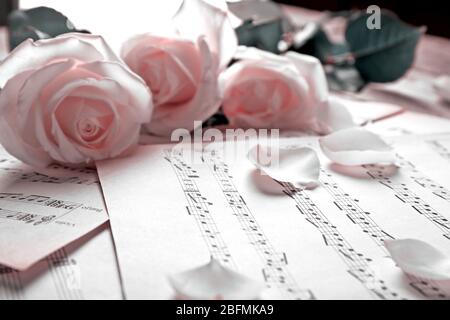 Belles roses sur fond notes de musique Banque D'Images