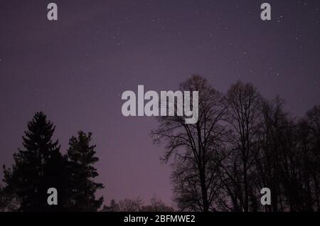 silhouettes de la tresse noire devant un ciel violet de nuit Banque D'Images