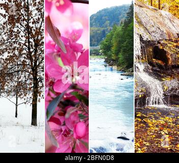 Les différentes saisons de l'année - quelques photos de la belle nature. Le concept de cycle de vie Banque D'Images