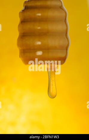 Éclaboussures de miel sucré biologique. Le miel s'écoule de la cuillère à miel en bois Banque D'Images