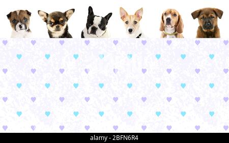 Groupe de chiens devant un fond blanc avec de l'espace pour votre texte Banque D'Images