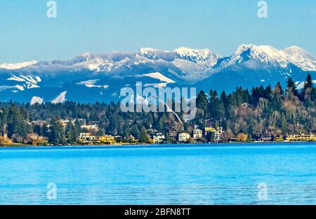 Seagull High Rise Building Maisons quartiers résidentiels Lac Washington neige capping Cascade Mountains Bellevue Washington Banque D'Images