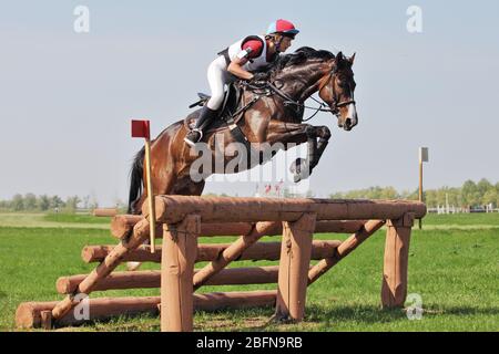 Cavalier et cheval sautent une clôture à un jour épreuves de cheval à Moscou, Russie Banque D'Images