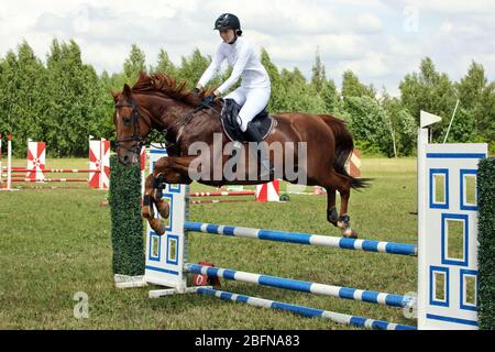 Une fille équestre sautant obstacle cheval sportif Banque D'Images