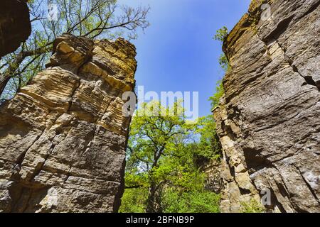 Dans les roches - Felsengärten Hessigheim - Sud de l'Allemagne - derrière les vigneards Banque D'Images