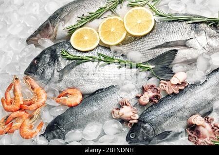 Poisson et fruits de mer congelés sur glace Banque D'Images