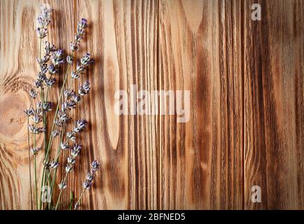 De belles fleurs sur fond de bois Banque D'Images