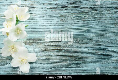 De belles fleurs bleu sur fond de bois Banque D'Images