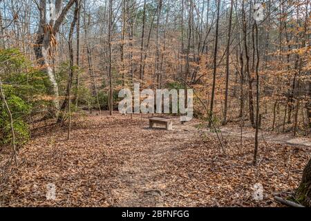 Un banc assis pour se reposer le long des sentiers dans la forêt entourée d'arbres et de feuilles tombées sur le sol, une journée ensoleillée au début du printemps Banque D'Images