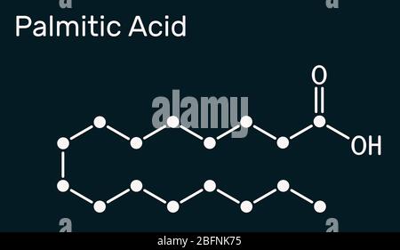 Acide palmitique ou hexadécanoïque, molécule de C16H32O2. Il est acide gras saturé. Formule chimique du squelette sur fond bleu foncé. Illustration Banque D'Images