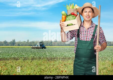 Agronome tenant la caisse avec divers légumes dans le champ Banque D'Images