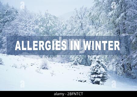 Texte ALLERGIES EN HIVER sur fond de paysage Banque D'Images