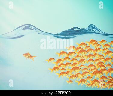 Beaucoup de poissons dans l'eau bleue. Par rapport au concept de flux Banque D'Images