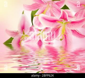 Fond floral. Réflexion de l'eau de belles fleurs. Banque D'Images