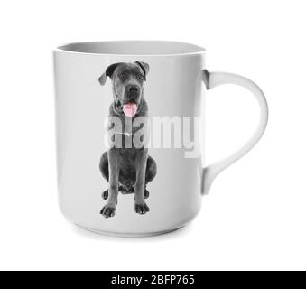 Tasse à café avec photo de chien mignon isolé sur blanc Banque D'Images