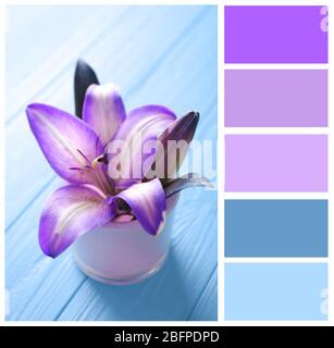 Couleur lilas assortie et de magnifiques lilas sur fond en bois Banque D'Images