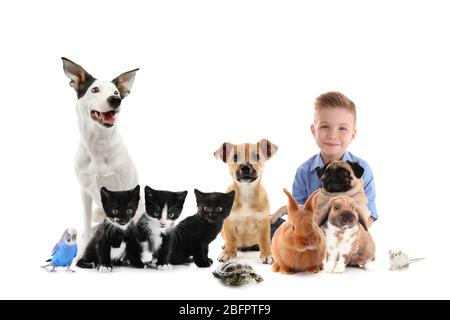 Petit garçon avec animaux de compagnie mignons sur fond blanc Banque D'Images