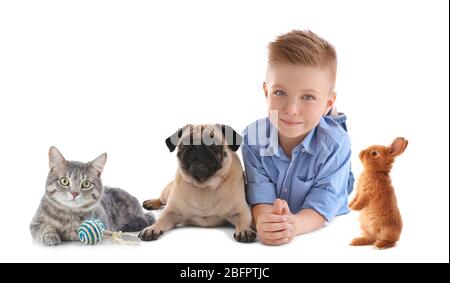 Petit garçon avec animaux de compagnie mignons sur fond blanc Banque D'Images