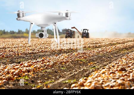 Quadricoptère avec caméra survolant le champ. Concept agricole intelligent Banque D'Images