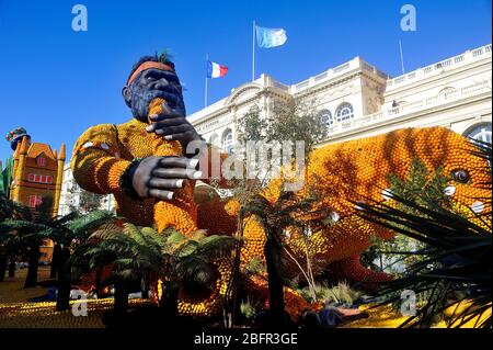 Bioves jardins à Menton pendant le festival du citron en février 2020. Banque D'Images