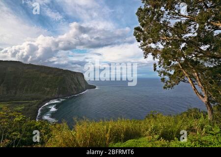 Les nuages de l'après-midi passent au-dessus de la vallée de Waipio et cette vue magnifique le long de la côte de Hamakua sur la Grande île d'Hawaï. Banque D'Images