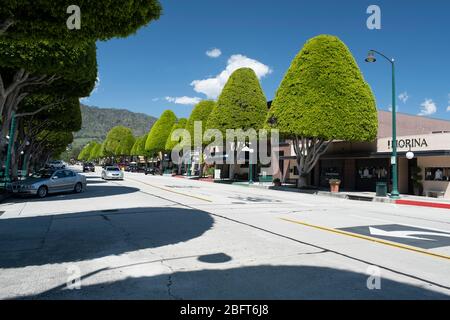Vue en direction des montagnes San Gabriel, sur l'avenue Glendora bordée de ses arbres Ficus caractéristiques dans la banlieue de Los Angeles Banque D'Images