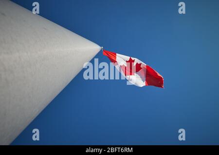 La photographie du drapeau canadien qui scinde au vent lors d'une journée ensoleillée avec une vue dynamique sur le ciel bleu est à la recherche du flagelle Banque D'Images