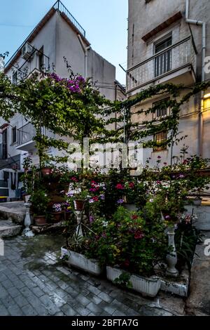 Ville historique de Rodi Garganico sur un rocher au-dessus de la mer avec des rues étroites et des escaliers raides, péninsule de Gargano, province de Foggia, Italie Banque D'Images