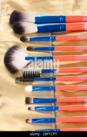 Jeu de brosses de maquillage dans un étui en cuir doré près du haut Banque D'Images