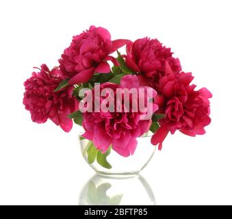 belles pivoines roses dans vase en verre isolées sur blanc Banque D'Images