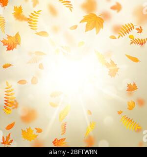 Magnifique fond d'automne avec feuilles d'érable d'automne et soleil délicat. SPE 10 Illustration de Vecteur