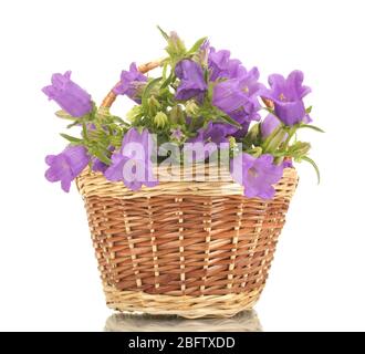 cloche bleue dans le panier isolée sur blanc Banque D'Images