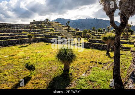 Pyramide et cactus yucca sur la plaza ouest des ruines de Cantona à Puebla, au Mexique. Banque D'Images