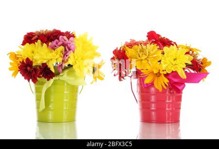 belles fleurs d'été dans des seaux, isolés sur blanc Banque D'Images