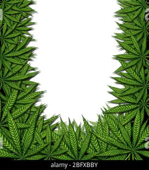 Cadre de fond de marijuana et conception de bordure de cannabis sur un fond blanc comme symbole pour le pot médicinal ou l'herbe médicale comme un groupe de feuilles vertes i Banque D'Images
