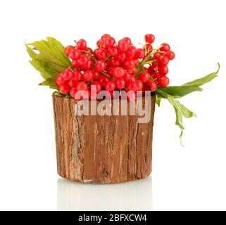 Viburnum mûr dans un bol en bois isolé sur blanc Banque D'Images