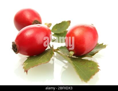 roses mûres de la hanche sur les feuilles vertes, isolées sur blanc Banque D'Images