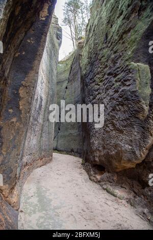 Le chemin à travers la gorge à Oybin au château. La gorge a été créée artificiellement par les mains humaines au Moyen âge. Banque D'Images