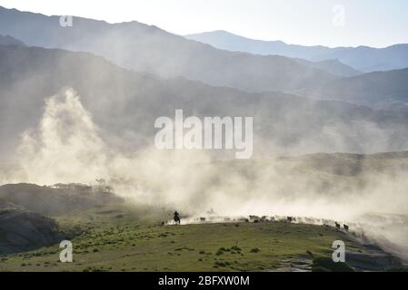 Xinjiang, Xinjiang, Chine. 20 avril 2020. Xinjiangà¯ÂμÅ'CHINA-le 5 juin 2018 jour juste lumineux, sal braque Airdropping County dans la région de xinjiang altay, les bergers locaux kazak vivant au revoir pendant plus de deux mois de pâturage de printemps et d'automne, ont commencé à leurs pâturages de bétail et de moutons en été de transitions, des dizaines de milliers de bovins et de moutons sous la conduite des bergers kazak, majestueux, poussière tout le chemin chanson, grandes scènes, majestueux, attirant des amoureux de la photographie de tournée du xinjiang à l'intérieur et à l'extérieur. Crédit: SIPA Asia/ZUMA Wire/Alay Live News Banque D'Images