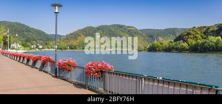 Panorama de fleurs colorées sur la promenade de Boppard, Allemagne Banque D'Images